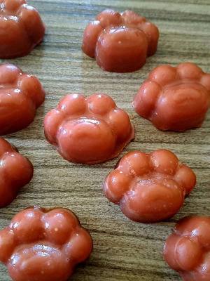 Wax melts χειροποίητα, πακέτο 10, κερί σόγιας με άρωμα καραμέλα σε σχήμα πατουσάκι