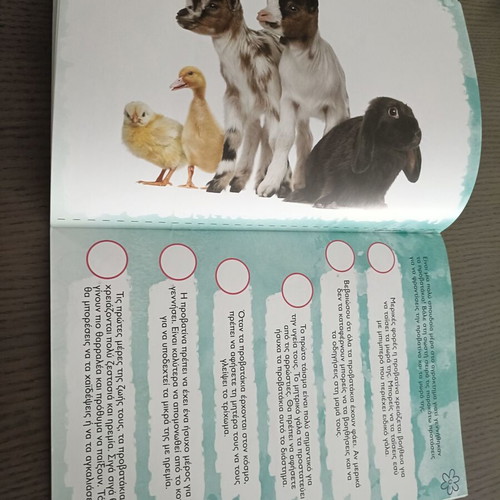 Nefeli the Animal Doctor book new