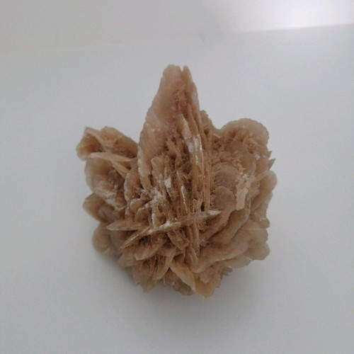 Desert rose like new natural mineral rock from Tunisia