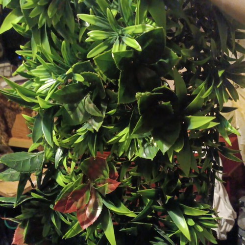 Panel with artificial plants like new, modular square 25x25cm