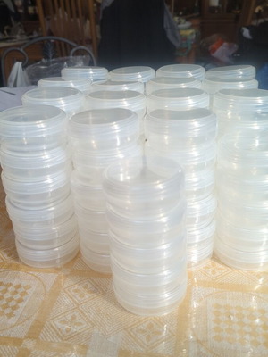 Plastic transparent jars 100ml new, pack of 100 made of polypropylene
