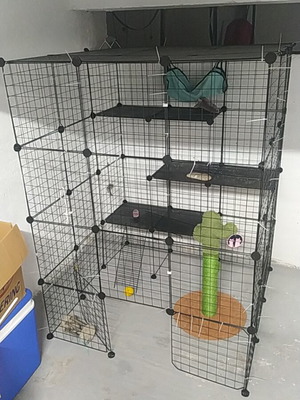 Клетка за котка като нова с играчки и драскало