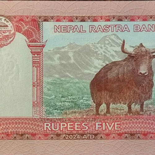 Nepal 5 Rupees Banknote 2024 like new