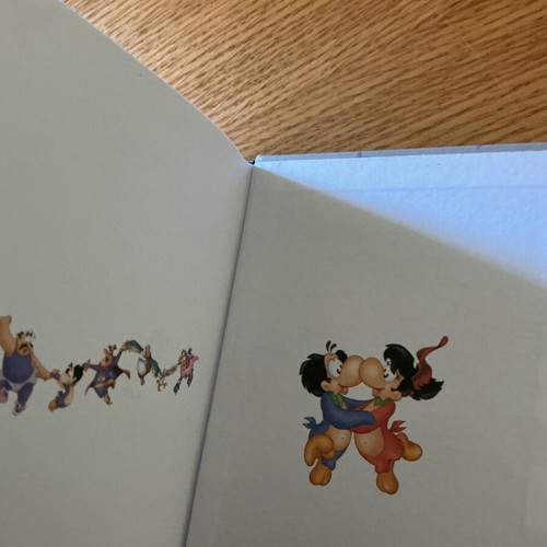 Magic Birds notebook new with hard cover