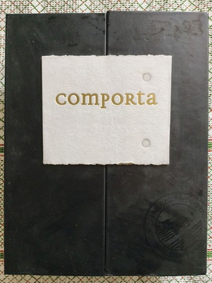 Drink case used, hard cardboard, 2 bottle slots