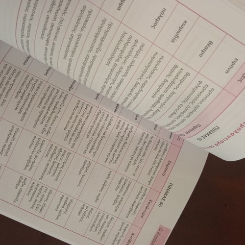 Essay Aid Fourth Grade like new, Greek