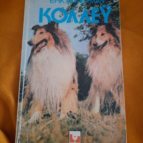Colley book for dogs by Eric Aberman