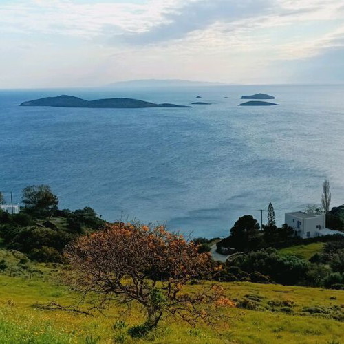 Andros Land Plots 4 Stremmata with Spring and View, Buildable