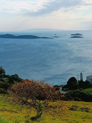 Οικόπεδα Άνδρου 4 στρεμμάτων με πηγή και θέα, οικοδομήσιμα