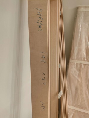 Door with frame new, without handles