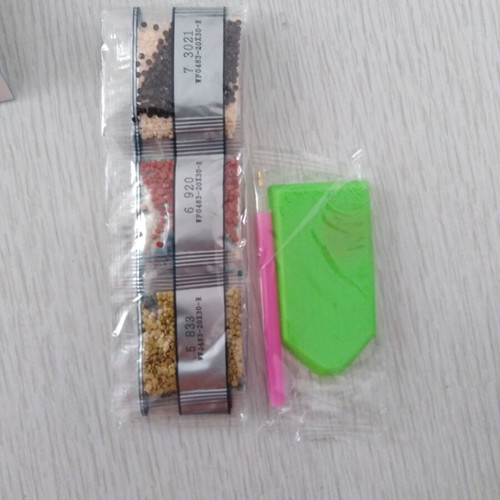 Diamond Painting Kit 20x30 cm new with materials