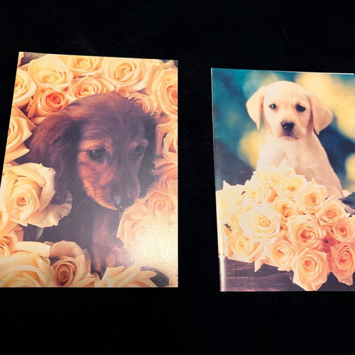 Set of 2 vintage cards with puppies and roses 90s retro, like new