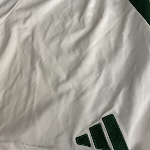 Panathinaikos Adidas 2024-25 Away Shorts like new, size L
