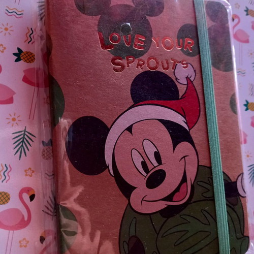 Mickey notebook and notepad set new