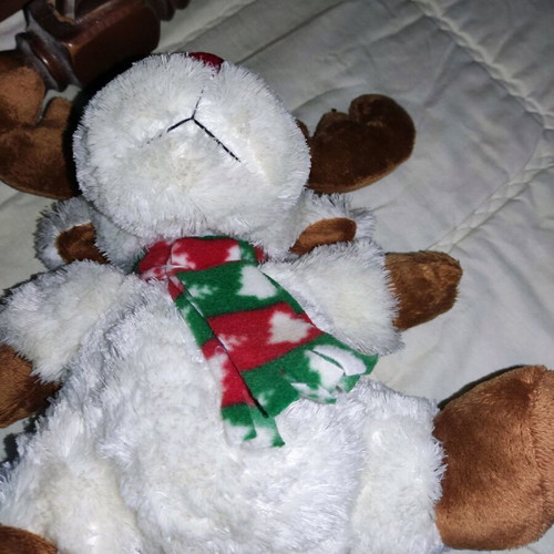 Stuffed toy used in good condition