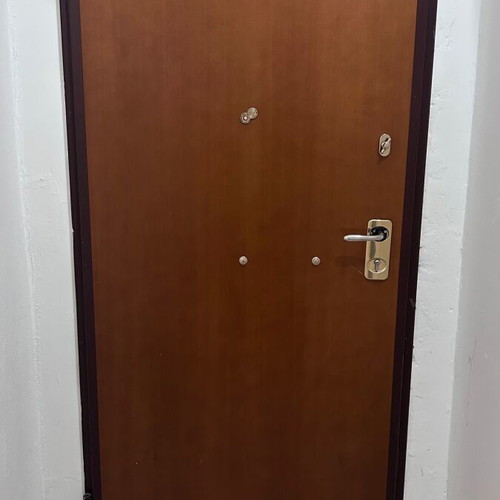 Security door like new