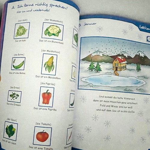 Naseweis 1 neu Arbeitsbuch and Lehrbuch German language learning books new