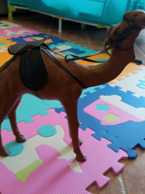 Decorative camels like new from Dubai