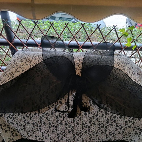 3€ each. There are five wing and skirt costumes.