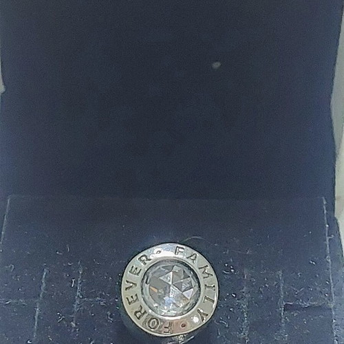 Pandora charm new with large zirconia and family for ever engraving