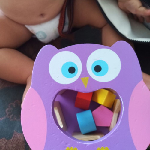 Toy set used with stacking cups and wooden owl shape sorter