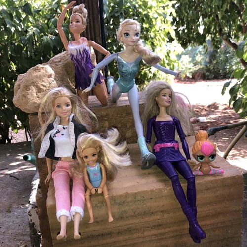 Barbie dolls used with accessories and ponies