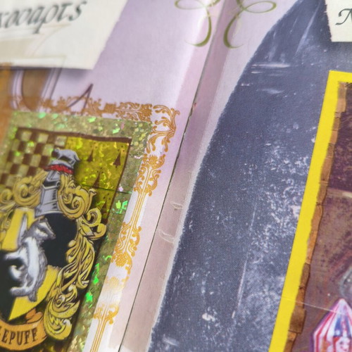 Harry Potter and the Philosopher's Stone Panini Sticker Album used, complete