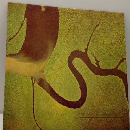 Dead Can Dance The Serpent's Egg Vinyl LP 1988 near mint electronic