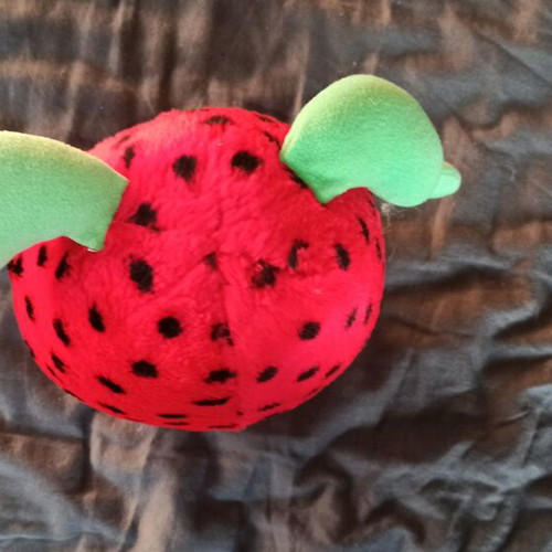 Strawberry Bear used from Continent 1990s