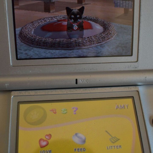Purr Pals Nintendo DS game used, pet simulation