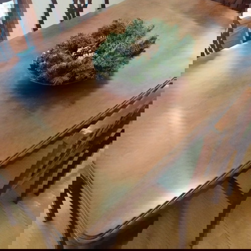 Τραπεζαρία μασίφ καρυδιάς σαν καινούργια με 6 καρέκλες