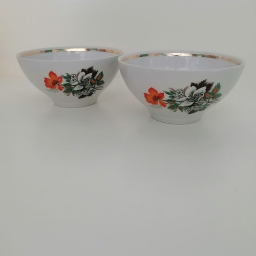 Porcelain bowls vintage set of two with floral pattern, like new