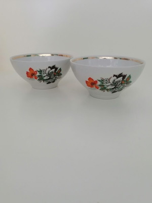 Porcelain bowls vintage set of two with floral pattern, like new