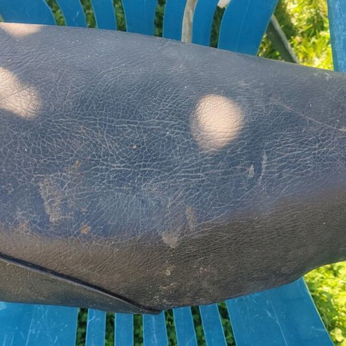 Honda Chally seat used with metal base