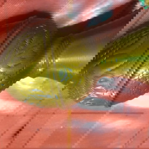 Διακοσμητικά επιτραπέζια μπρούτζινα σαν καινούργια, σετ 2 τεμαχίων