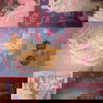  παζλ