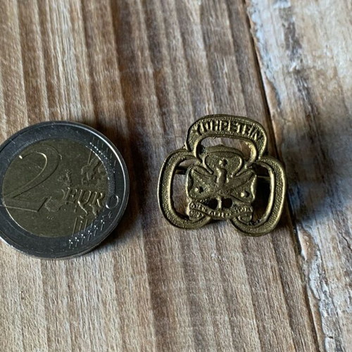 Scout badge used