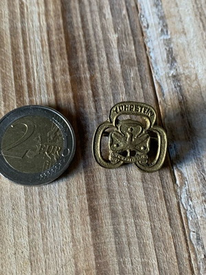 Scout badge used