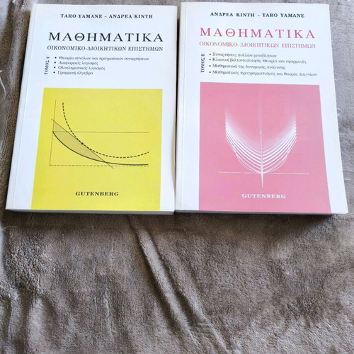 Mathematics Taro Yamane Volumes A and B like new