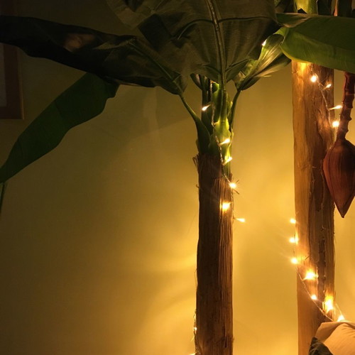 Artificial banana plant used, height 1.80 m