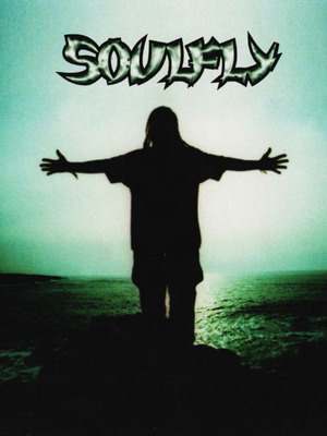 Soulfly debut album CD used, metal genre