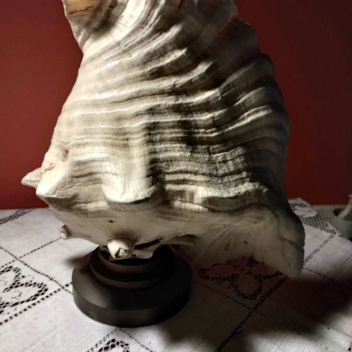 Natural shell lamp with bronze base, set of 2
