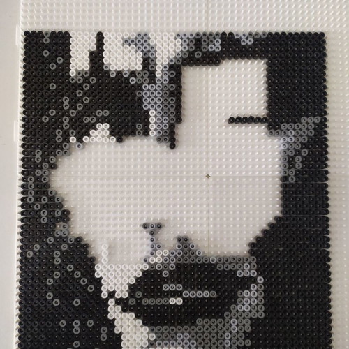 Handmade decorative portrait The Crow Brandon Lee new