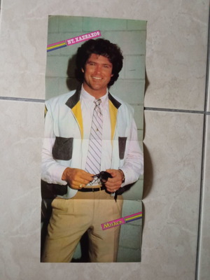 David Hasselhoff poster used, double-sided 51x21 cm