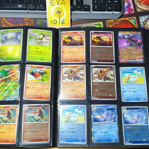Perfect Order Pokemon Card Collection Basic Set New