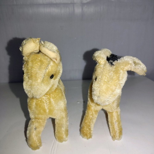 Steiff dolls used, pack of 6 pieces