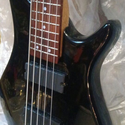 Sound Station SPCL Edition 5-string electric bass guitar