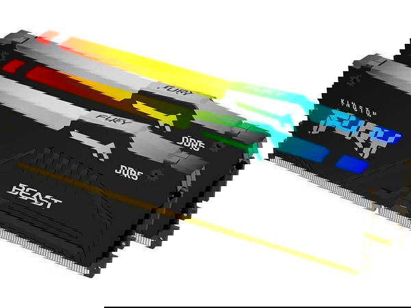 Kingston Technology FURY Beast RGB (64 GB/DDR5/6000MHz)
