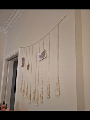 Wall decor for photos and memorabilia with clips new