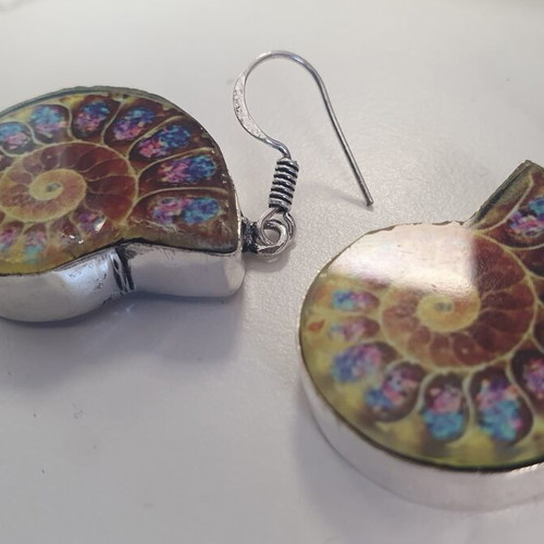 Earrings with colorful ammonite design, new